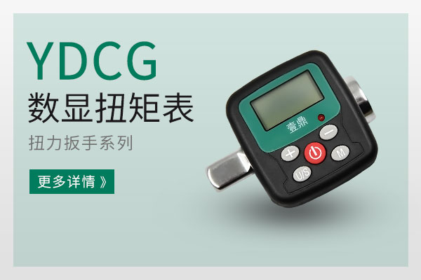 YDCG数显扭矩表